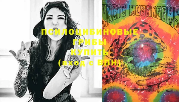 герыч Ступино