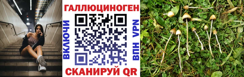 Псилоцибиновые грибы MAGIC MUSHROOMS  Купить  Южа 